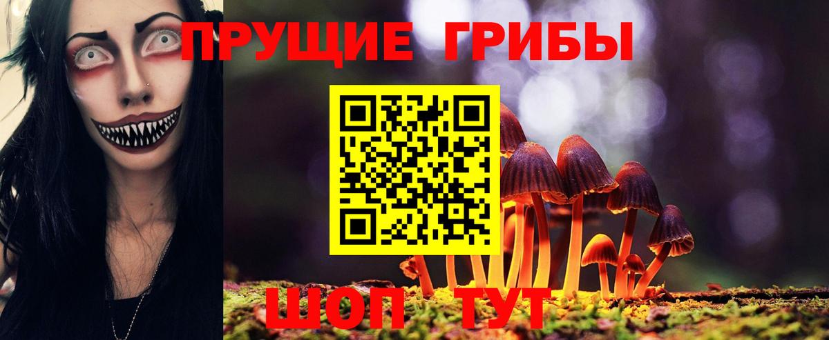 Псилоцибиновые грибы ЛСД Менделеевск